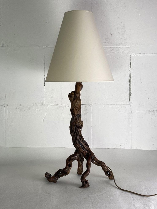 Brutalist Organic Vine Branch Lamp, France, 1950S