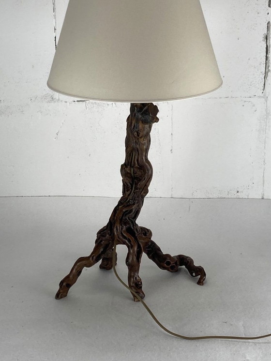 Image 1 of Brutalist Organic Vine Branch Lamp, France, 1950S