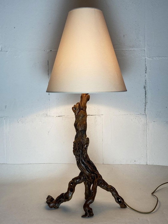 Image 1 of Brutalist Organic Vine Branch Lamp, France, 1950S