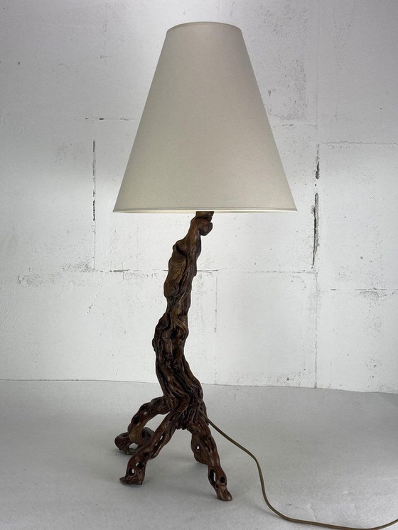 Image 1 of Brutalist Organic Vine Branch Lamp, France, 1950S