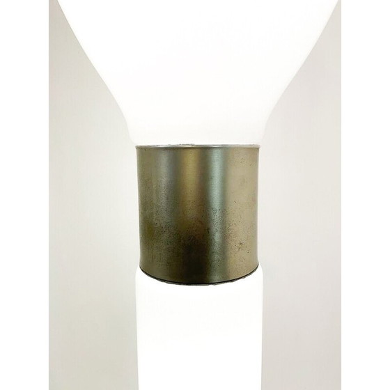 Image 1 of Mid-century floor lamp by Carlo Nason, Italy 1960s