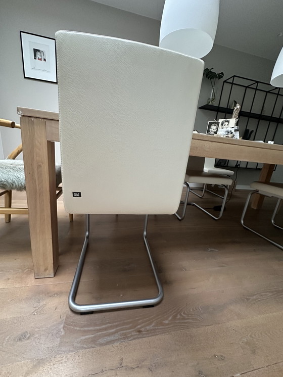 Image 1 of Rolf Benz Dining Chair