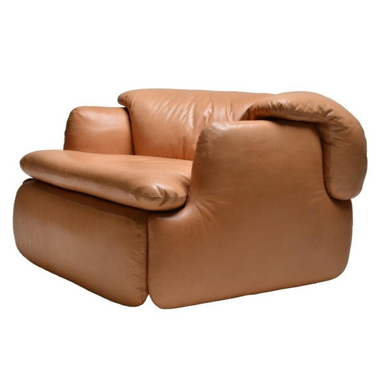 Image 1 of Divano vintage in pelle marrone di Rosselli per Saporiti in fibra di vetro 1970