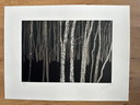 Sérigraphie des arbres