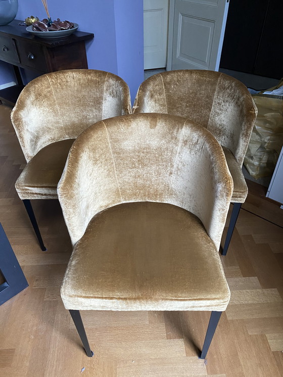 Image 1 of 6x chaises Hofstede Raanhuis C-Sharp