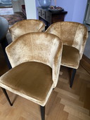 6 sedie Hofstede Raanhuis C-Sharp
