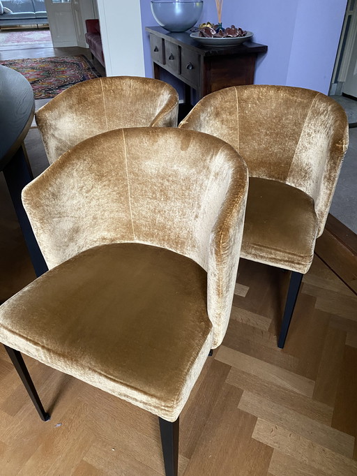 6x Hofstede Raanhuis C-Sharp chairs