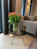 Beek Mauspertuus side table