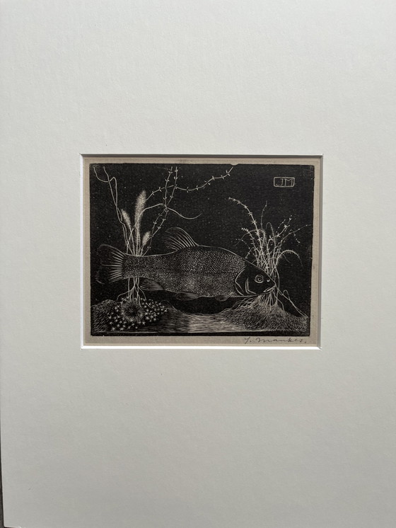 Image 1 of Jan Mankes - Héliogravure originale encadrée Tanche 1923