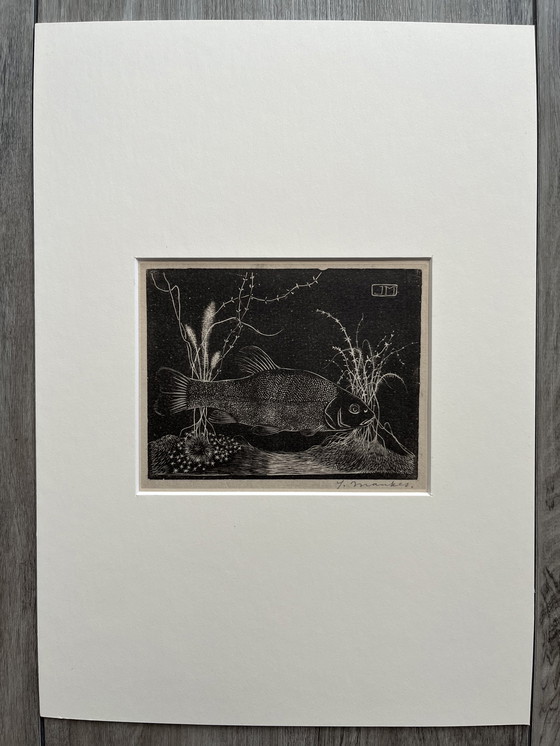 Image 1 of Jan Mankes - Original Framed Heliogravure Tench 1923