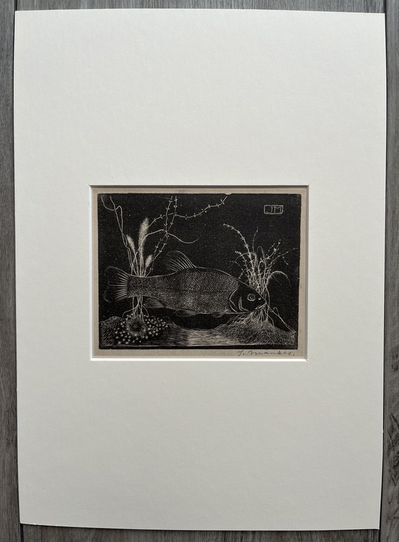 Image 1 of Jan Mankes - Héliogravure originale encadrée Tanche 1923