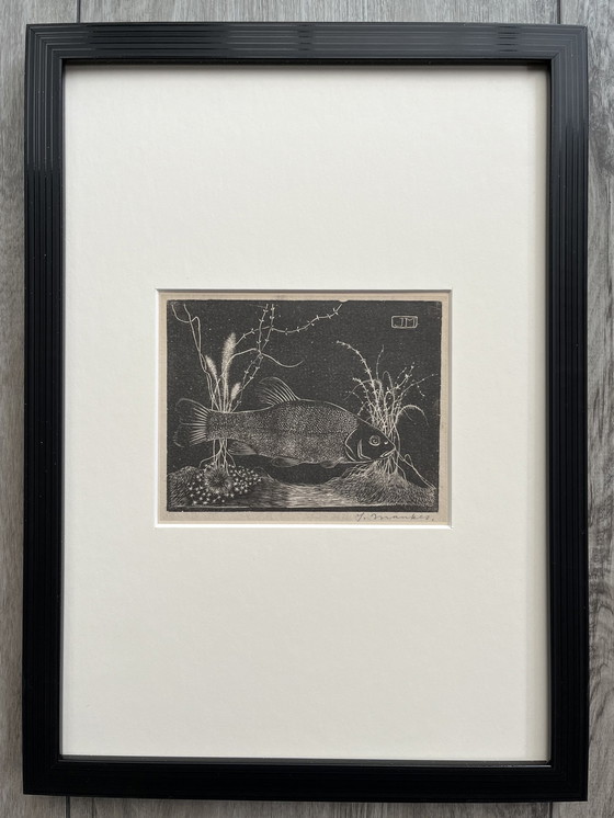 Image 1 of Jan Mankes - Original Framed Heliogravure Tench 1923