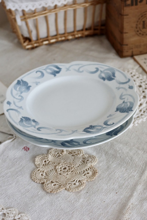 2x Low Pedestal Dish