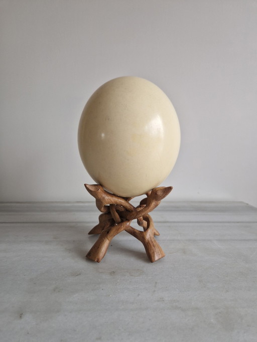 Ostrich egg on its Exotic Wood Stand