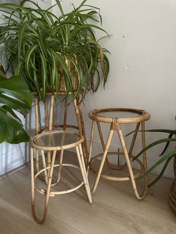 Image 1 of Plant Table Set Rattan