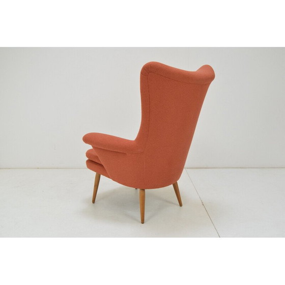 Image 1 of Vintage armchair by Up.Rousinov Czechoslovakia 1970s