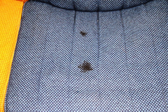 Image 1 of Suite De 5 Chauffeuses Vintages Mobilier International