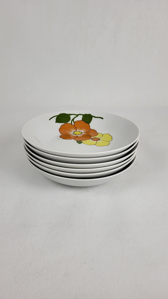 Image 1 of 6 Soup plates / Porcelain bowls Seltmann Weiden Bavaria