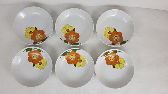 Image 1 of 6 Soup plates / Porcelain bowls Seltmann Weiden Bavaria