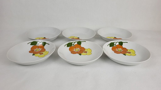 6 Soup plates / Porcelain bowls Seltmann Weiden Bavaria