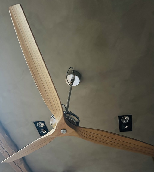 Boffi Ceiling Fan