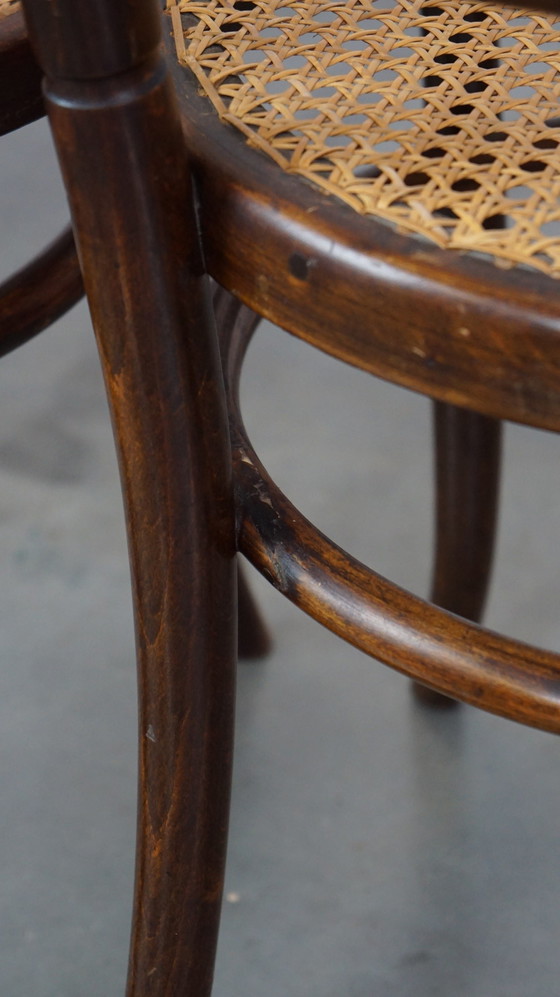 Image 1 of 5 X Thonet Design Bistro/ Dining Chair