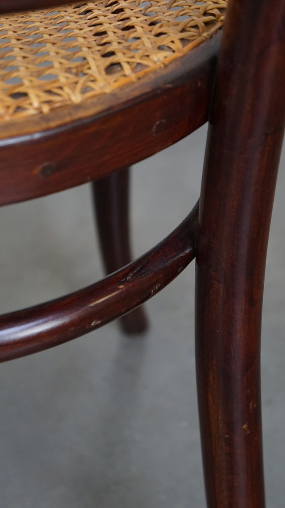 Image 1 of 5 X Thonet Design Bistro/ Dining Chair