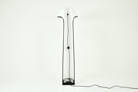 Image 1 of Alba Floor Lamp By Sergio Brazzoli & Ermanno Lampa For Harvey Guzzini, 1960S