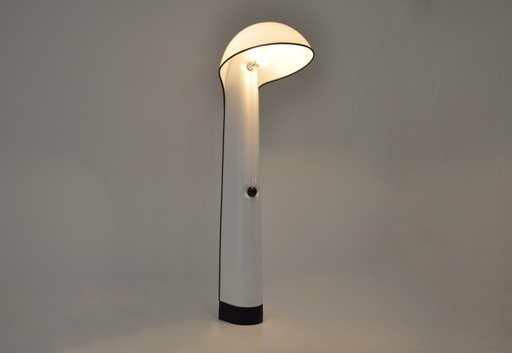 Alba Floor Lamp By Sergio Brazzoli & Ermanno Lampa For Harvey Guzzini, 1960S