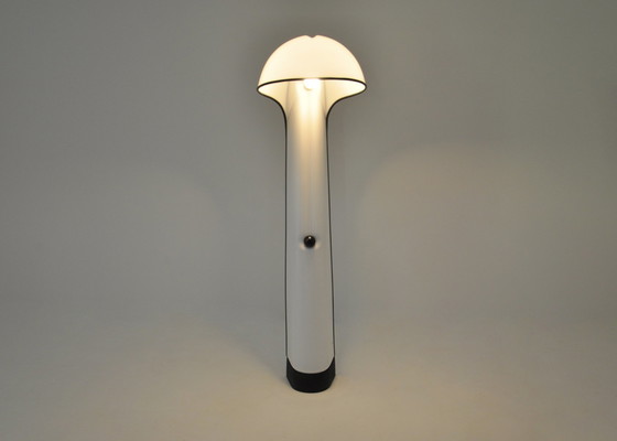 Image 1 of Alba Floor Lamp By Sergio Brazzoli & Ermanno Lampa For Harvey Guzzini, 1960S