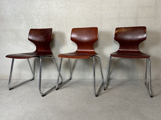 Image 1 of 3X Pagholz Flötotto Chairs - Brown