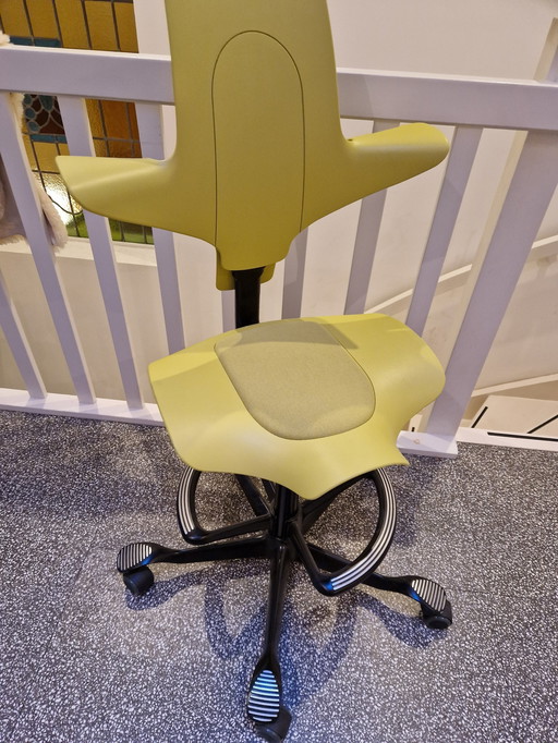 Office chair Hag Capisco Pulse 8010