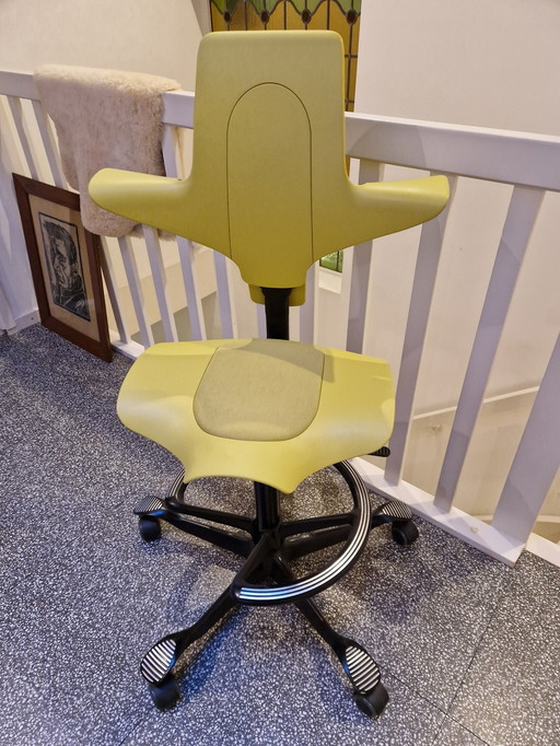 Office chair Hag Capisco Pulse 8010