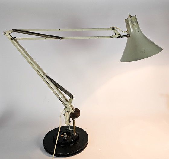 Image 1 of Philips - model NTD 36 - Louis Kalff - desk lamp - architect's lamp - metal - 1966