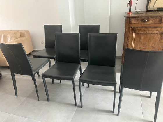 Image 1 of 6x Roche-Bobois Chairs Frag