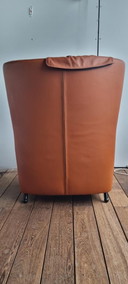 Sillón De Sede DS23