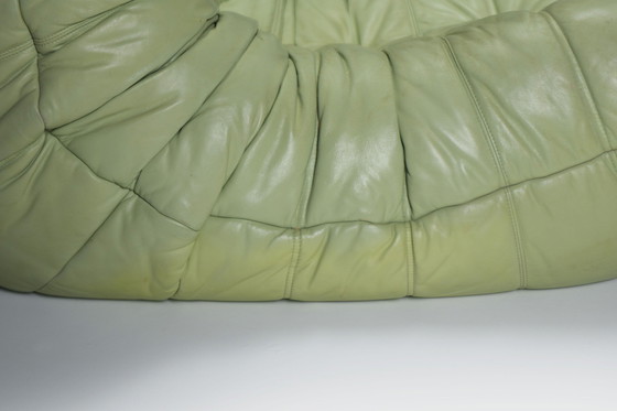 Image 1 of Original Vintage Togo From 1978 In Mint Green By Michel Ducaroy For Ligne Roset.