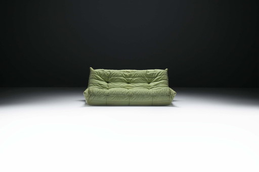 Original Vintage Togo From 1978 In Mint Green By Michel Ducaroy For Ligne Roset.