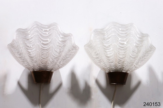 Image 1 of Midcentury Modern ASEA wall lamps "Coquille" 1950s, Sweden