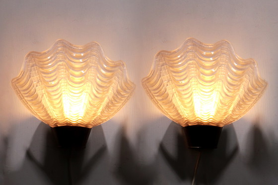 Image 1 of Midcentury Modern ASEA wall lamps "Coquille" 1950s, Sweden