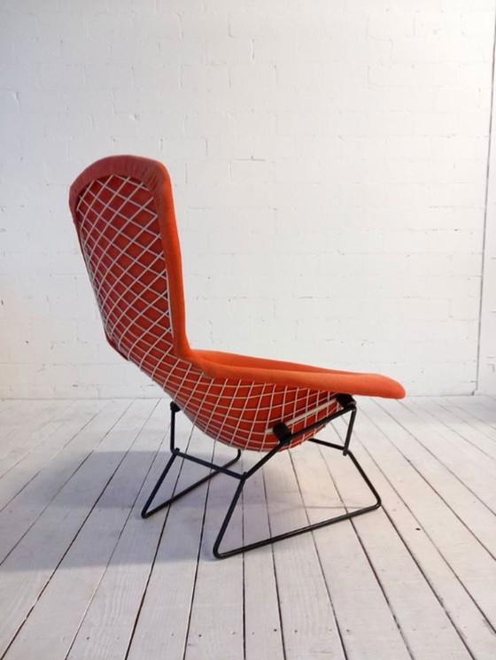 Image 1 of Bertoia Knoll International Bird Chair