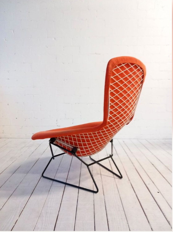 Image 1 of Bertoia Knoll International Bird Chair