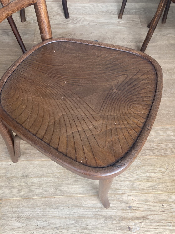 Image 1 of 6x Thonet + Vintage chairs