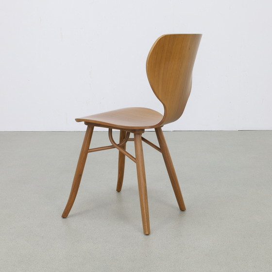 Image 1 of 2x Chair “Tulipani” in Walnut by Roderick Vos for Linteloo