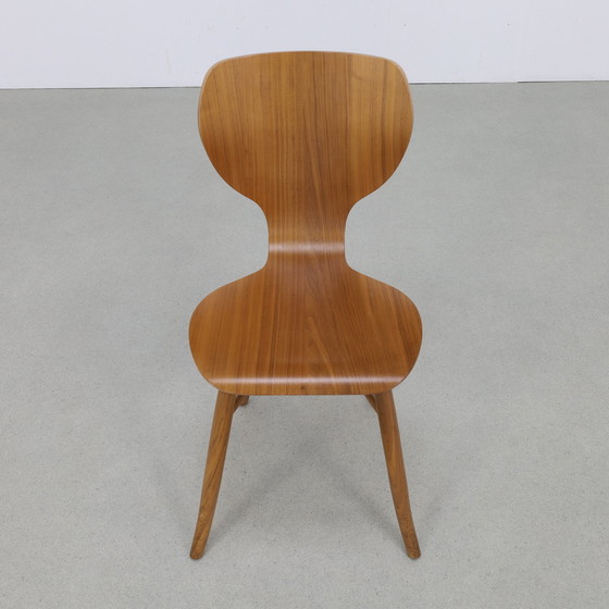 Image 1 of 2x Chair “Tulipani” in Walnut by Roderick Vos for Linteloo