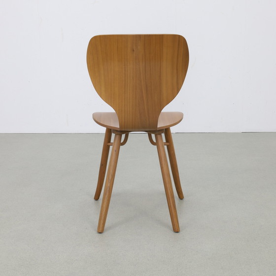 Image 1 of 2x Chair “Tulipani” in Walnut by Roderick Vos for Linteloo