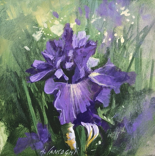 Artist painting - Agostino Cancogni - Iris