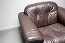2x De Sede DS 101 Fauteuils