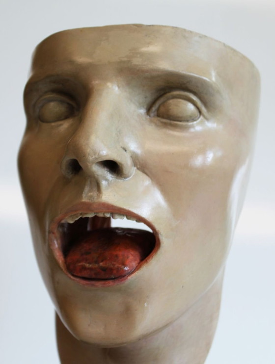 Image 1 of Modello anatomico Bock-Steger, Germania, 1890.