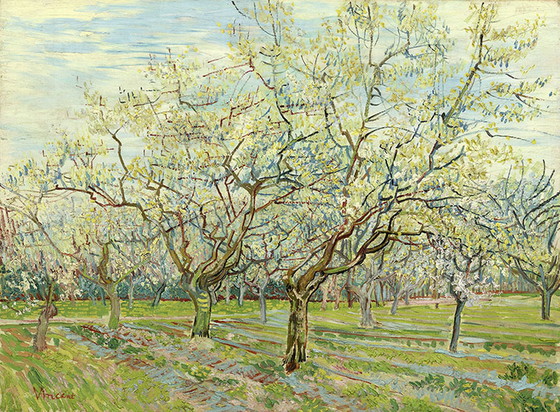 Image 1 of Vincent van Gogh - The white orchard